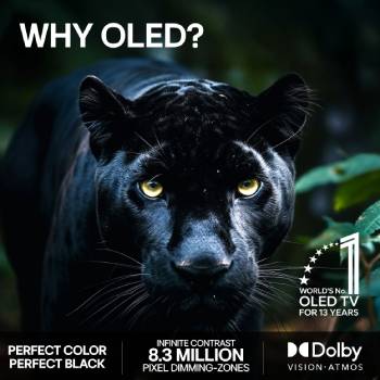 LG OLED evo AI C6 är väggmonterad i ett elegant vardagsrum, med en superslimmad design med smala ramar och visar ett stadslandskap vid en flod vid solnedgången på skärmen. 